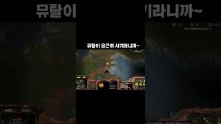 스타 50판만 저그고인물의 개쩌는 뮤탈컨트롤ㄷㄷ#shortsindia #shortvideo  #스타 #games #gaming #stargame#shorts