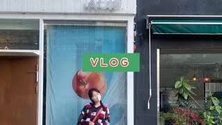 [sohee VLOG] 세번째 브이로그/ 친구랑 둘이 다녀온 서울여행 브이로그/ 여행기록모음!