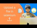 Selenium File Upload: The Ultimate Guide