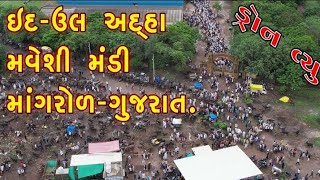 bakra Mandi 2022 (Janwar Market) Mangrol-Gujarat Drone View