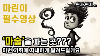 마술 입문,초보자분들을 위한 마술가게 가이드 영상