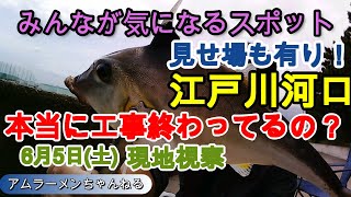 【湾奥】江戸川河口 護岸工事状況 工事本当に終わったんですか？！😁