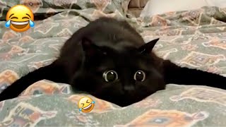 Funniest Dogs and Cats 2025 🐶😼 | You Laugh You Lose Challenge 😜 Part 15