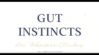 Gut Brain Series Part 2: The Gut Brain Axis and Communication Pathways