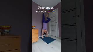 Утро вверх ногами 🤸‍♀️ 🤸‍♂️ #жизнь #медитация #мир #эфирныемасла #образжизнижурова #йога