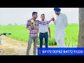 new paddy variety pusa basmati 1985 1847 ਦੀ ਨਵੀਂ ਸੋਧ ਗੁਣ ਵੇਖੋ ਸਬੂਤ ਸਮੇਤ