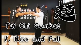 Tai Chi Combat Application - 1. Rise and Fall