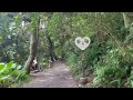 休閒景點 天母古道親山步道 翠峰瀑布 陽明山 ｜a zhe 阿哲