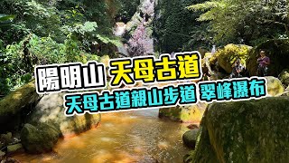 休閒景點-天母古道親山步道 翠峰瀑布 陽明山 ｜A zhe 阿哲