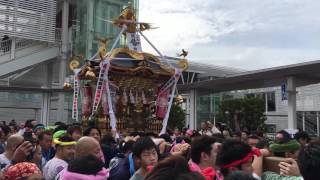 2016年 藤沢市 祝 JR東海道線 辻堂駅100周年記念渡御 小和田 熊野神社 神輿渡御④