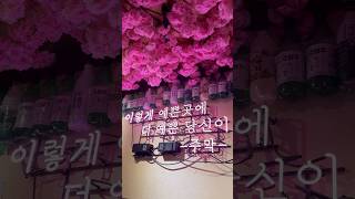 day trip to incheon🎡 #incheon #korea #travel #vlog #visitkorea #인천 #wolmido #chinatown #kpop