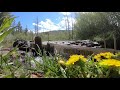 Prospecting With Gold hog Stream Sluice at Cache  Creek Colorado