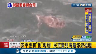 台南安平北堤海邊民眾驚見\