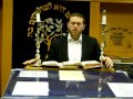 26 shemini rabbi yechiel emanuel leviticus 9 1 11 47