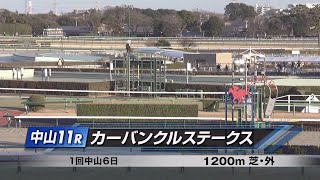 2025年1月18日(土) 中山11R　カーバンクルステークス【高画質、高音質】