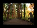 戸隠古道　～togakusi kodo　from nagano japan～