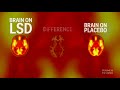 what lsd does to the human brain