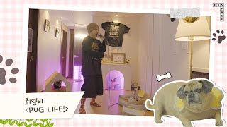 [반려 가족 특집 🐶] 최엘비 - PUG LIFE!