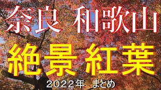 2022年　奈良　和歌山　紅葉　４K