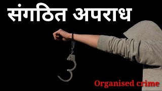 Organised crime in criminology  संगठित अपराध सिंडिकेट्स अपराध शास्त्र