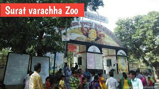 Sarthana Nature park in surat/Surat varachha chidiyaghar/ varachha zoo