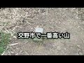 徒歩ぶら 交野遺産を巡る20「旗振山」