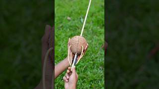 Creative Coconut Arrow Project Unique Diy With Simple Materials