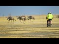 Cycle Tanzania: Kilimanjaro to Ngorongoro Cycling Tour