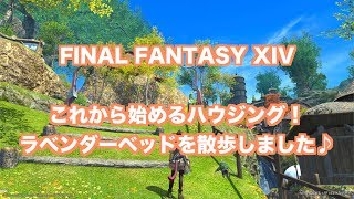 【FF14エオキナ】ラベンダーベッドの街並(2018)