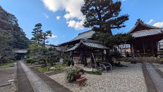 旧竹中半兵衛屋敷跡の妙照寺を「ぶらヒロシ」