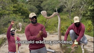 ಕರ್ನಾಟಕದ ಬೃಹತ್ 😳 ನಾಗರ ಹಾವನ್ನು 🐍 ರಕ್ಷಿಸಿ ಬನ್ನೇರುಘಟ್ಟ ಅರಣ್ಯ ಪ್ರದೇಶದಲ್ಲಿ ಬಿಡಲಾಯಿತು 👏