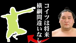 照ノ富士「いまの幕下力士は弱くない」現在番付急上昇中の若手力士と照ノ富士が次の横綱と期待する幕下力士