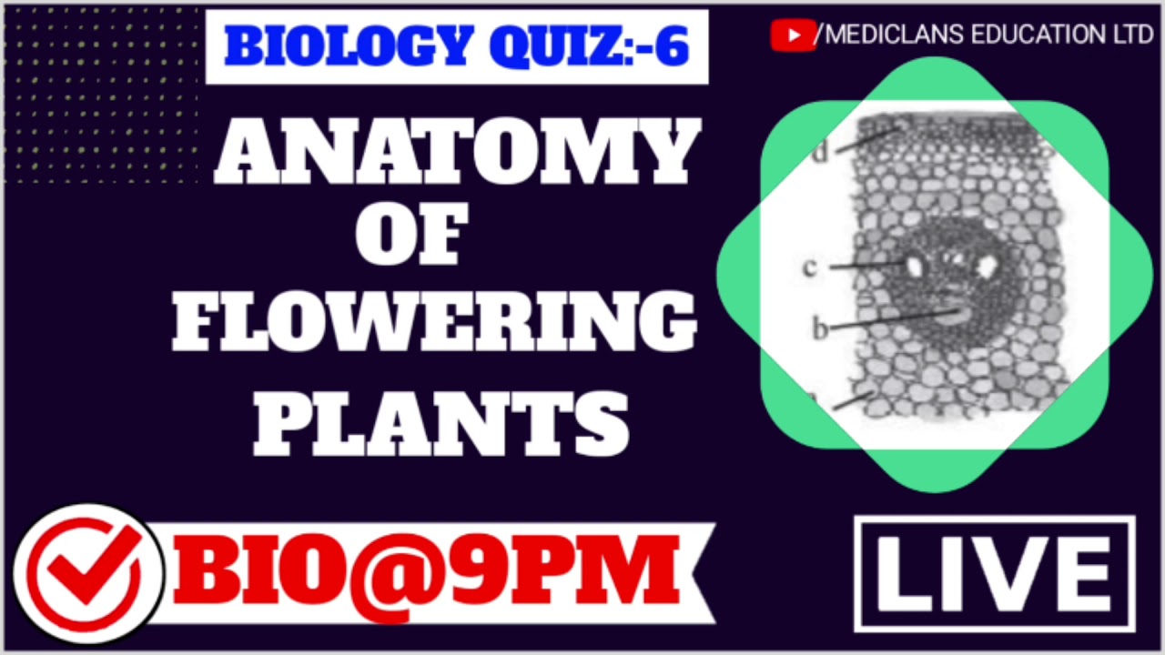 BIOLOGY QUIZ:-6||ANATOMY OF FLOWERING PLANTS || - YouTube