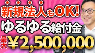 【知らなきゃ損！】新規法人もOK！最大250万円もらえる給付金の特例もスタート！