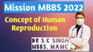 Human Reproduction  Class 12 biology | NEET Biology | Class 12 Biology | Dr S K Singh