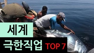 (랭킹박스) 세계 극한 직업 TOP 7