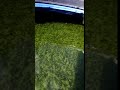 Microalgae Floculation in tank