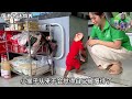 小猴子卖木瓜挣钱，去甜品店喝牛奶，车子却被偷了