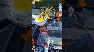 【ポケモンGO】この中に色違いがいる。 #ポケモンgo #色違いポケモン