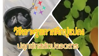 คนคนอีสานแอ่วเหนือep.39 ปลูกผักสลัดปลอดสาร#วิธีเจาะพลาสติกคลุมแปลง