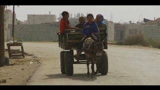 Egypt: Building Resilience