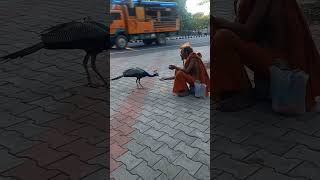 திருவண்ணாமலை சித்தர்#thiruvanamalai #god #thirumayam #திருவண்ணாமலை #nature #siva #lordsiva