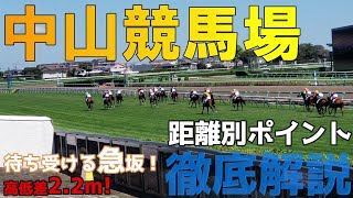 【徹底解説】中山競馬場の距離別の攻略ポイントを解説！