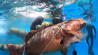 【魚突き】デカすぎる高級魚に銛で挑んでみると...