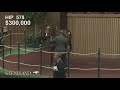 2017 Keeneland September Sale - Hip 578, Scat Daddy - Orchard Beach colt brings $1,100,000