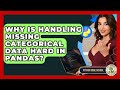 Why Is Handling Missing Categorical Data Hard In Pandas? - Python Code School