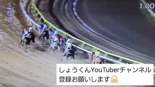 今日の動画は大井11レース東京記念トライアル2400メートルダート父アイルハヴアナザー産駒マンガン結果