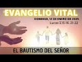 evangelio vital domingo 12 de enero de 2025 lucas 3 15 16. 21 22