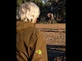 Mana Pools and Hwange Safari