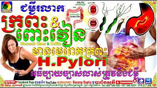 H.pylori មេរោគក្នុងក្រពះរុាំរ៉ៃអស់ជម្រើសមានអាការៈដូចម្តេចខ្លះ? គន្លឹះដោះស្រាយត្រូវធ្វើយ៉ាងណាខ្លះ?